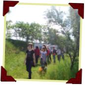 Nagyobb kép megtekintése
